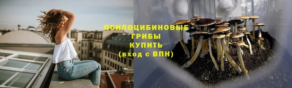 героин Горняк