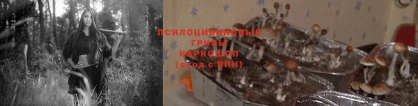 мескалин Гусиноозёрск