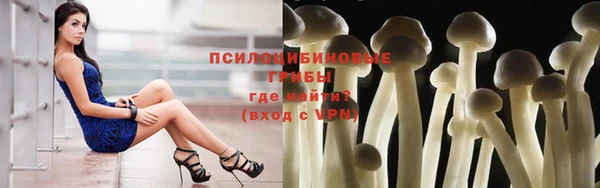 мескалин Гусиноозёрск