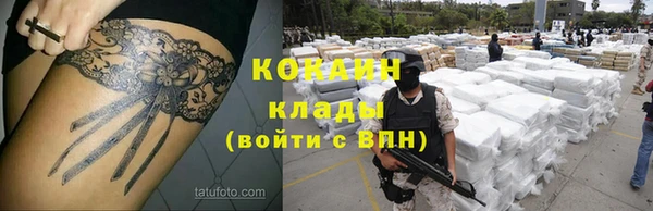 сатива Фурманов