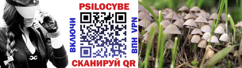 Галлюциногенные грибы мухоморы  купить наркотики цена  Малмыж 